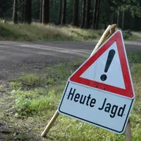 treibjagd.jpg