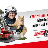 ff_destop_1440x900_katze_0.jpg