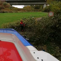 a3d03598-5ea1-493d-affa-bbc12c6f0ec0.jpeg
